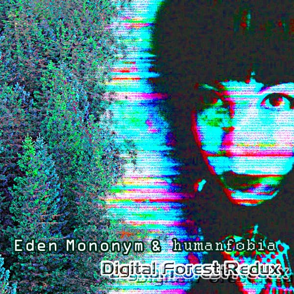Digital Forest Redux