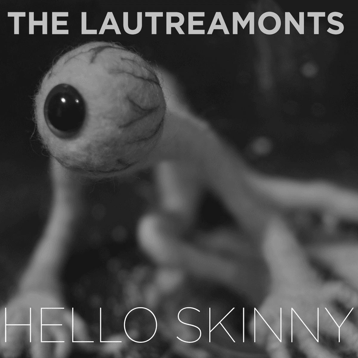 Hello Skinny