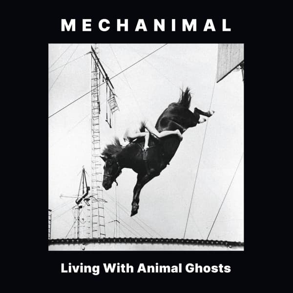 Living With Animal Ghosts