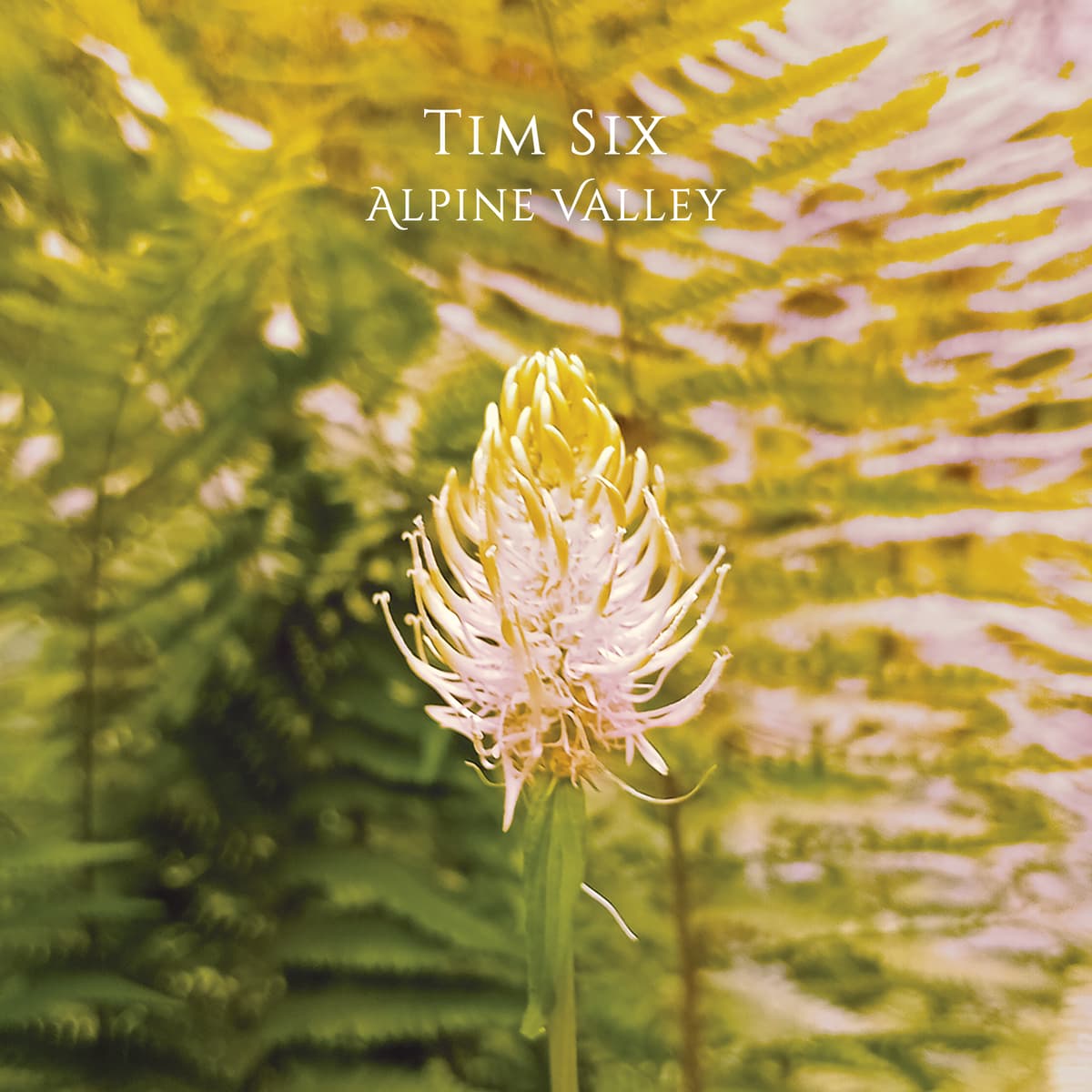 Alpine Valley
