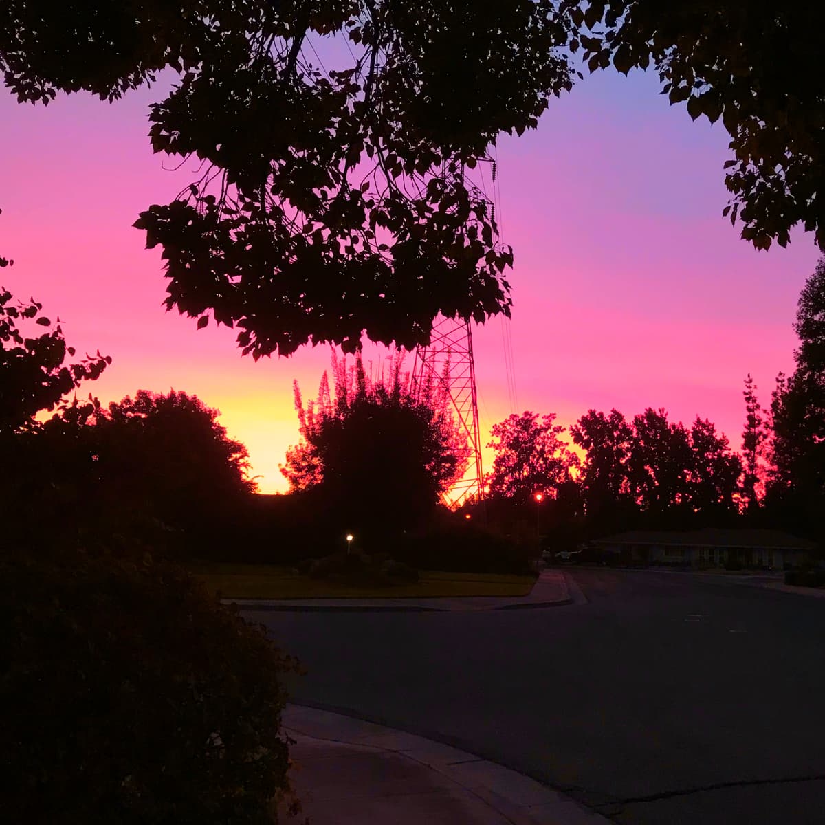 Fruitland Avenue