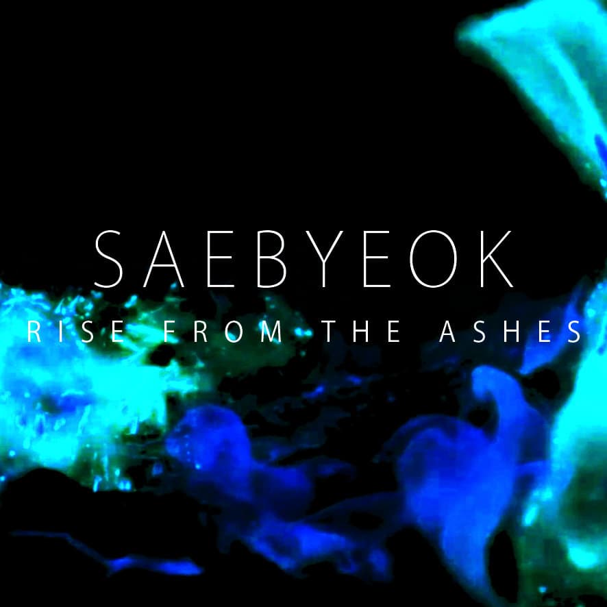 Rise From the Ashes