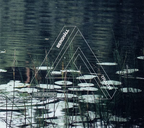 The Arctic