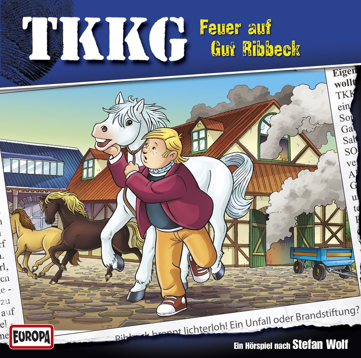 TKKG 192: Feuer auf Gut Ribbeck!
