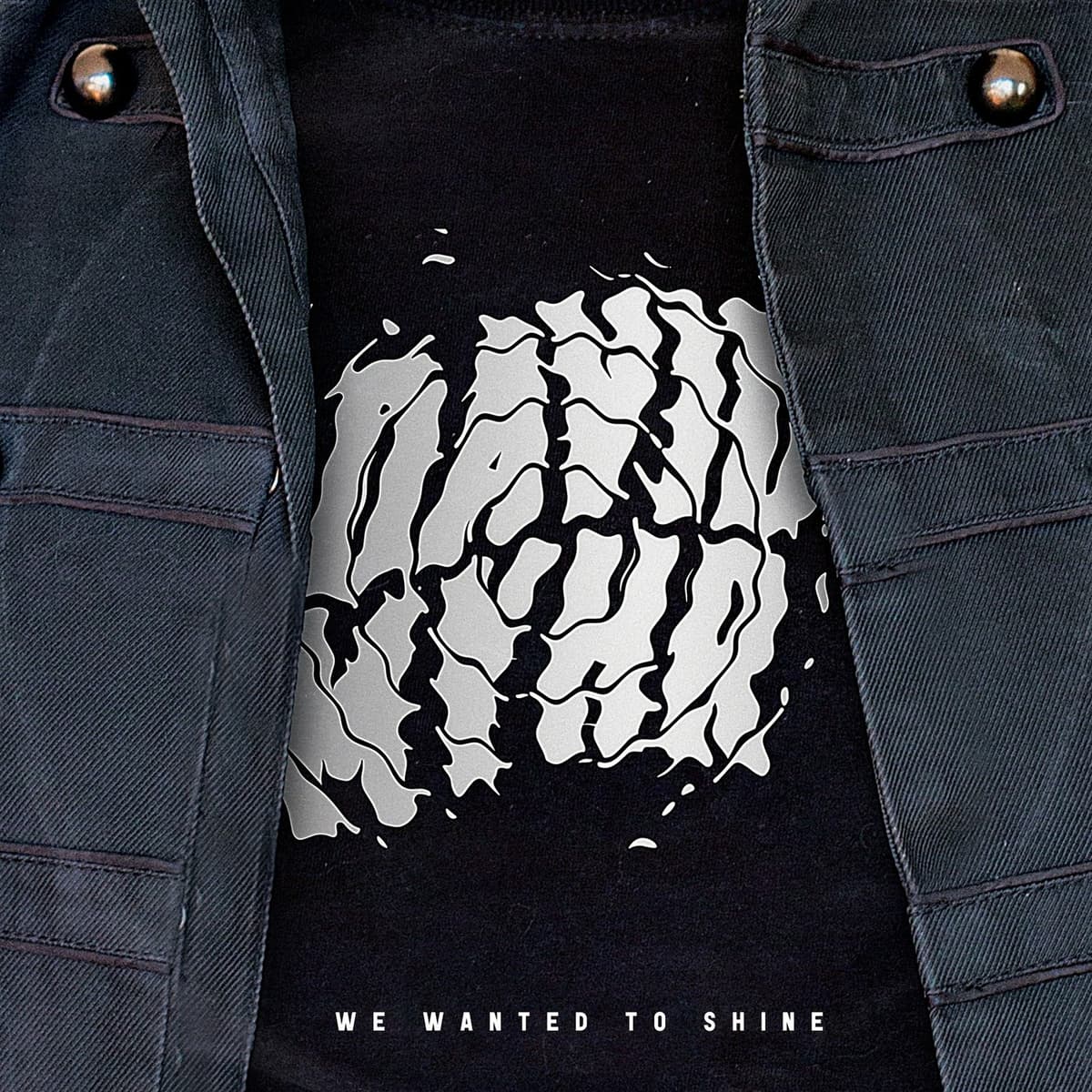 We Wanted to Shine