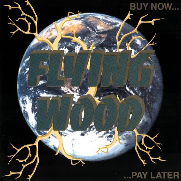 Buy Now Pay Later