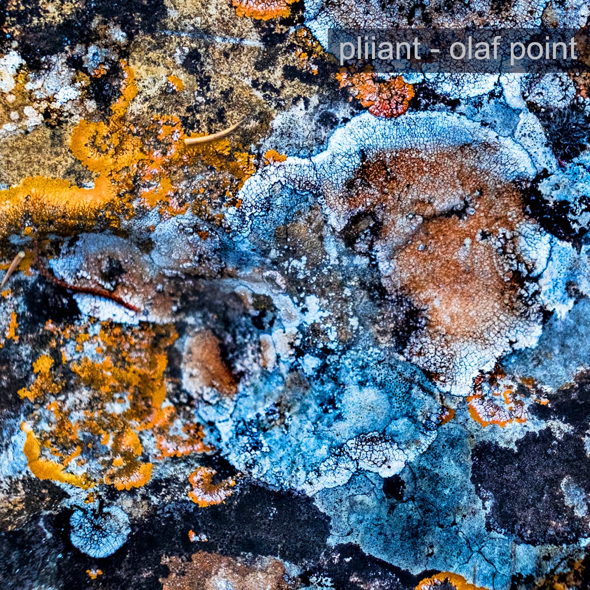 Olaf Point