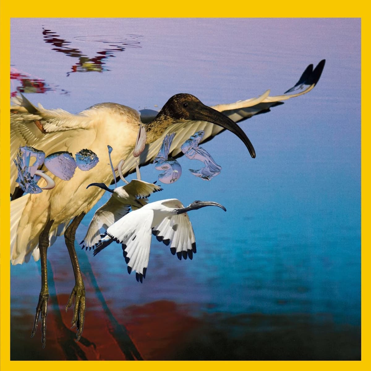 PSYCHE BIRDS (Original Motion Picture Soundtrack)