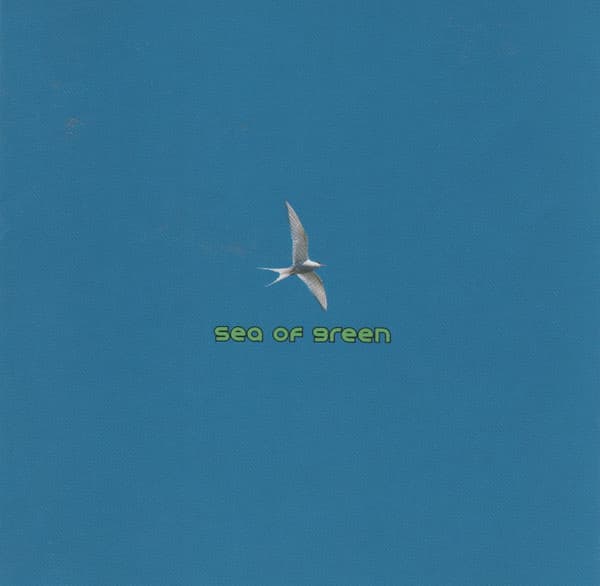 Time to Fly