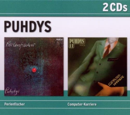 Perlenfischer / Computer-Karriere