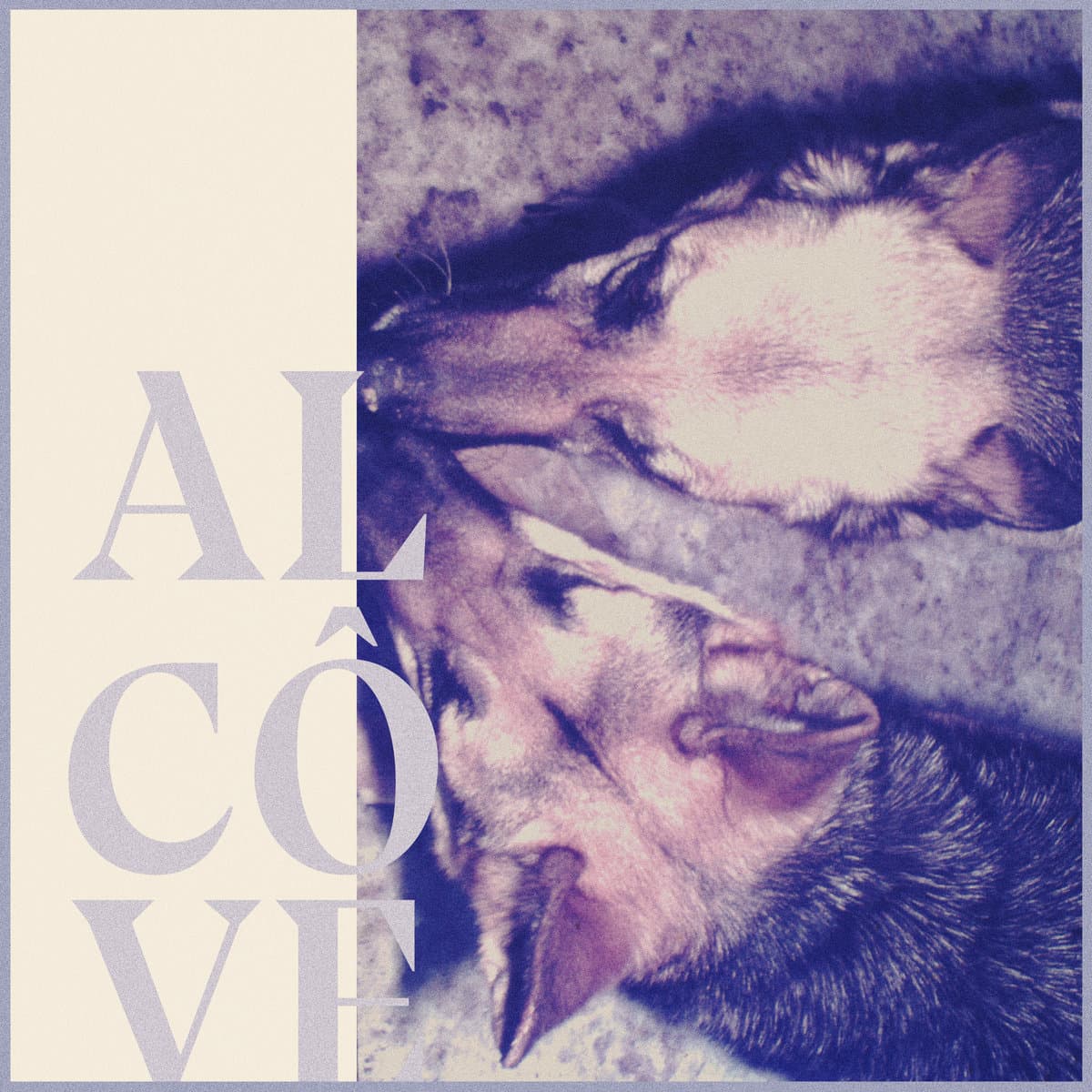 Alcôve