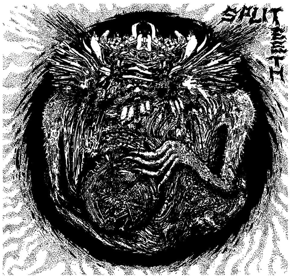 Split Teeth