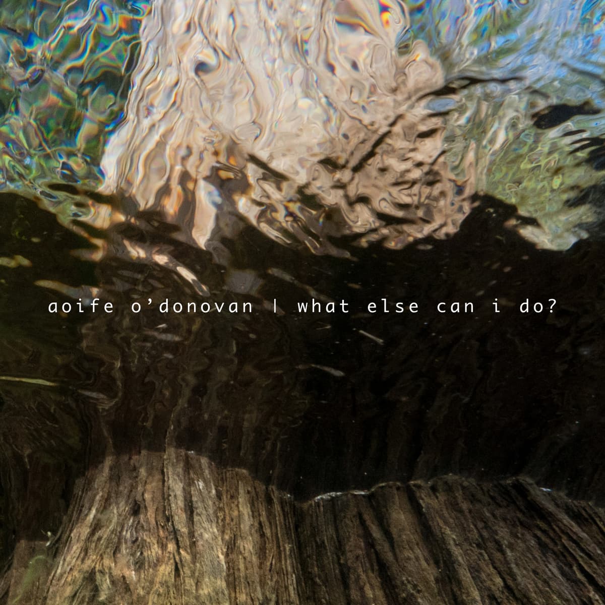 What Else Can I Do?