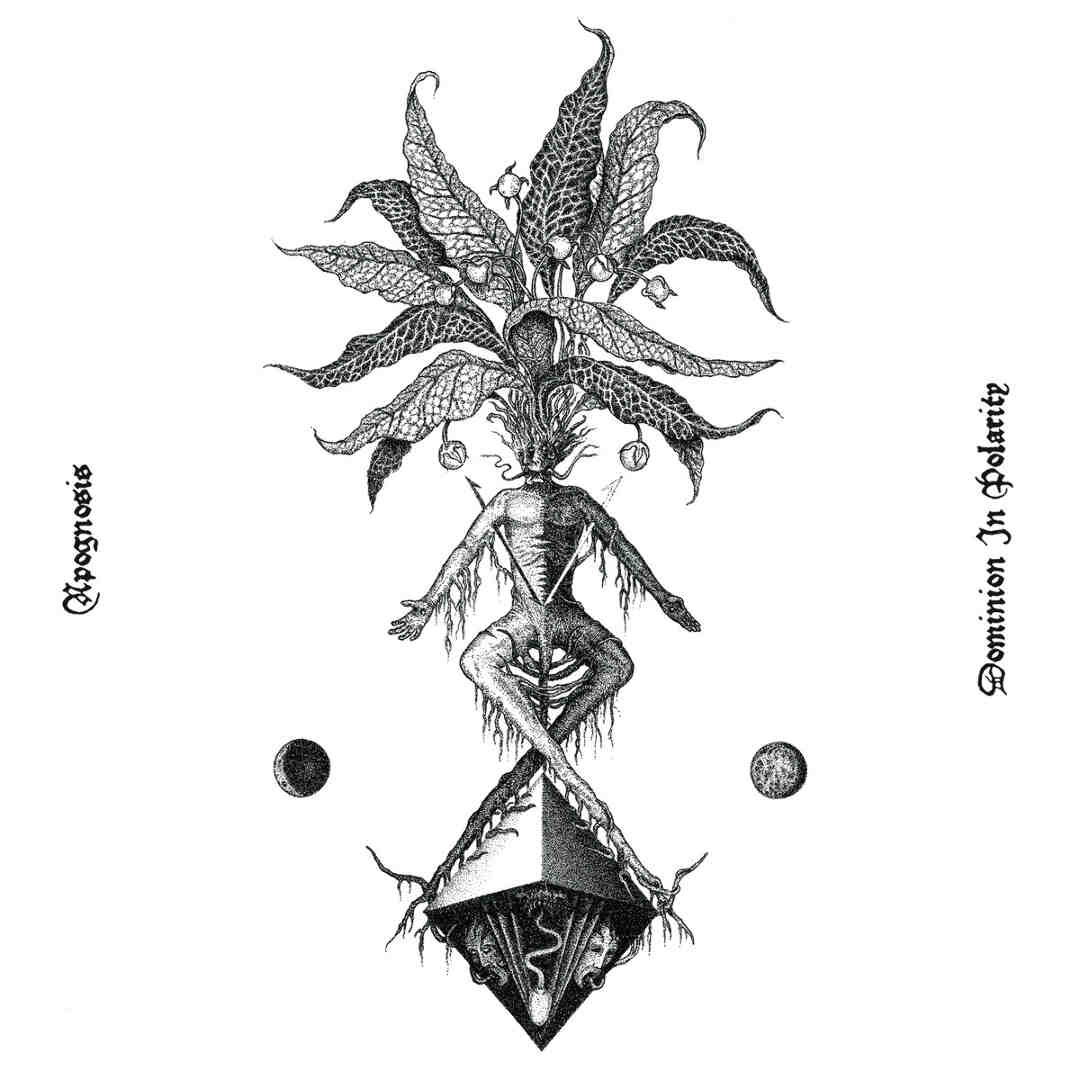 Dominion in Polarity