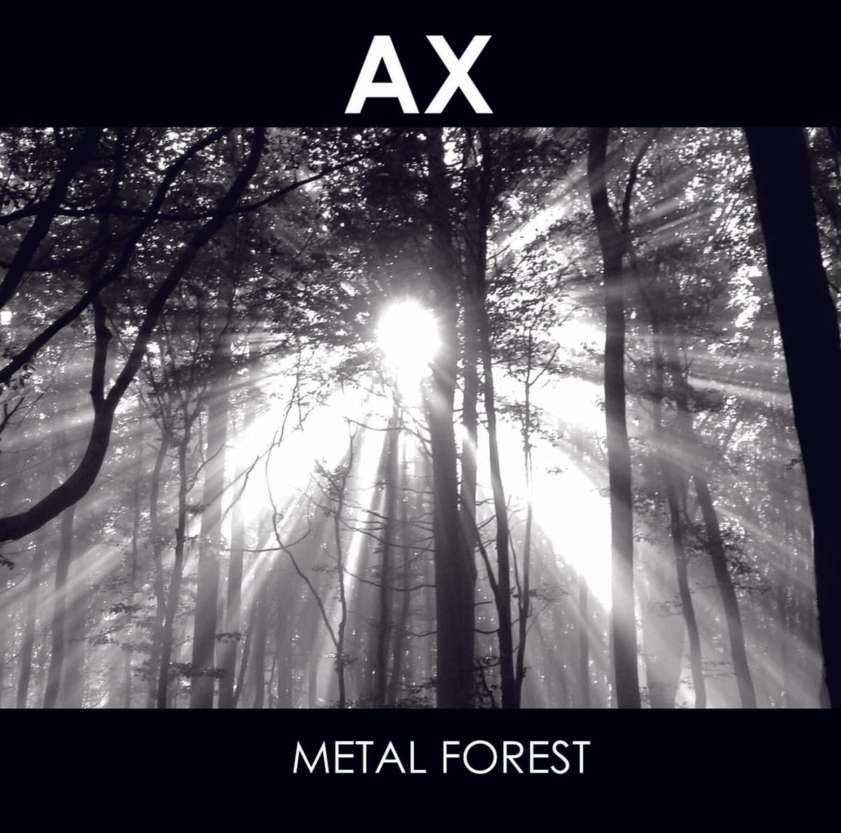 Metal Forest