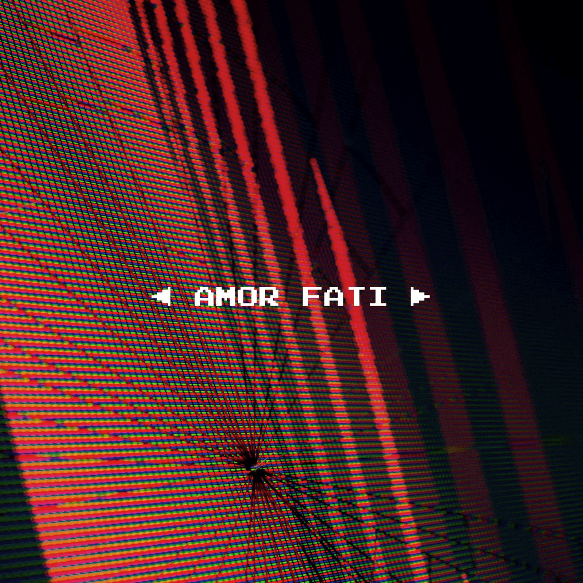 Amor Fati