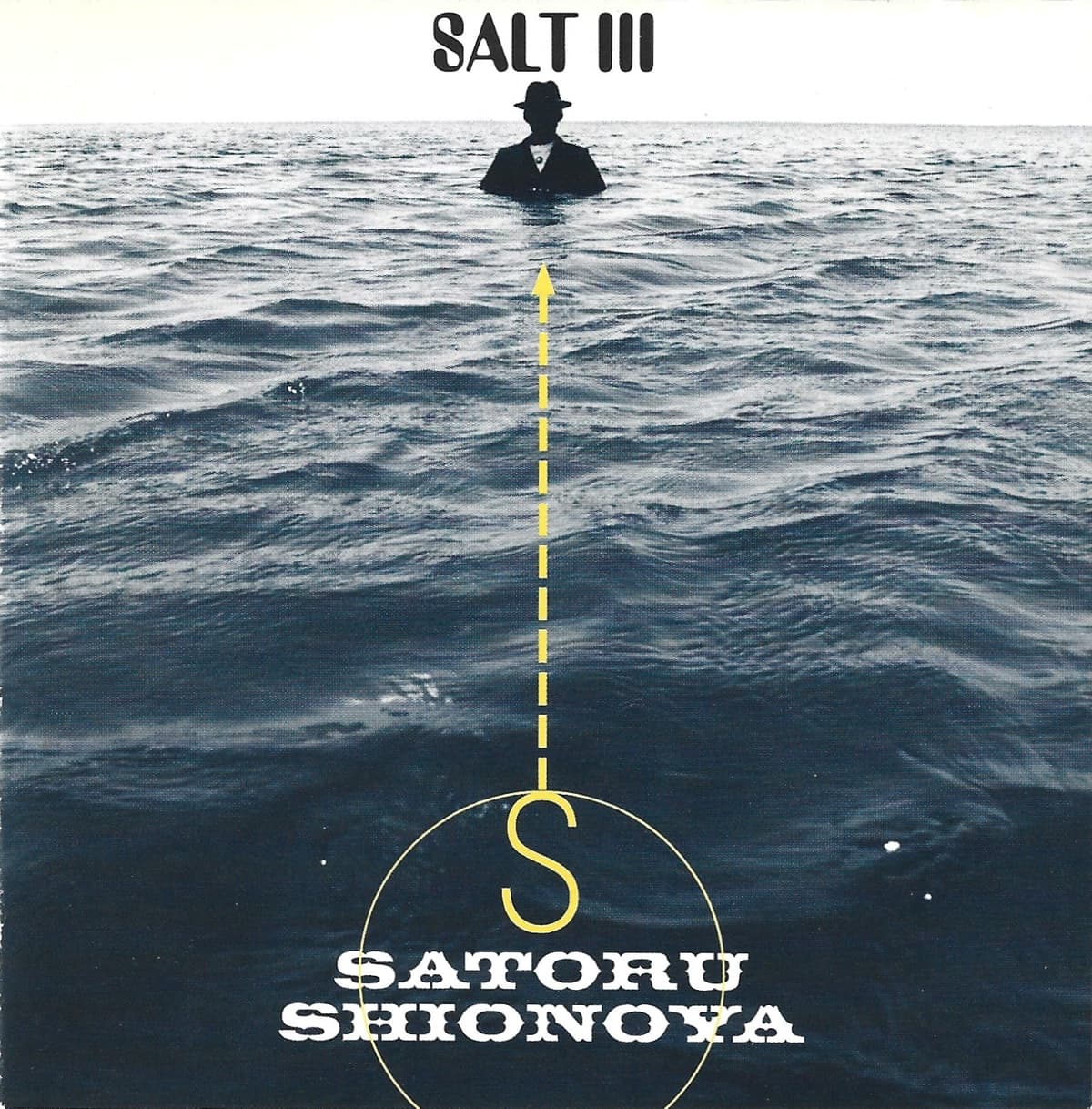 SALT III