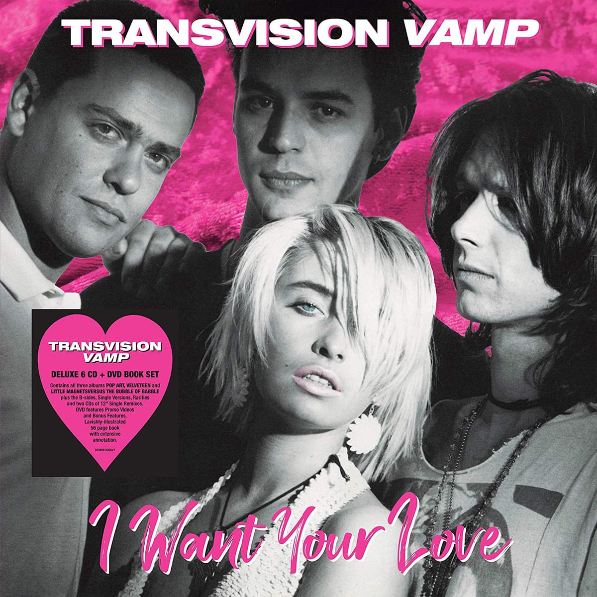 I Want Your Love