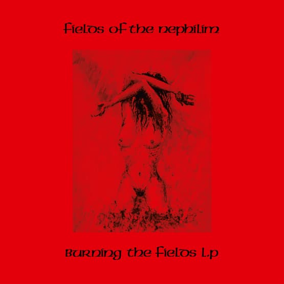 Burning the Fields LP