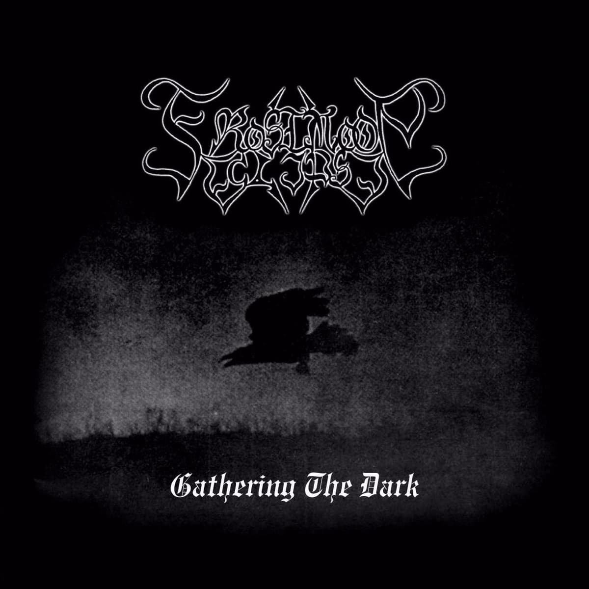 Gathering the Dark