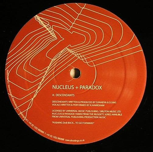 Descendants / Night Theme (Paradox remix)