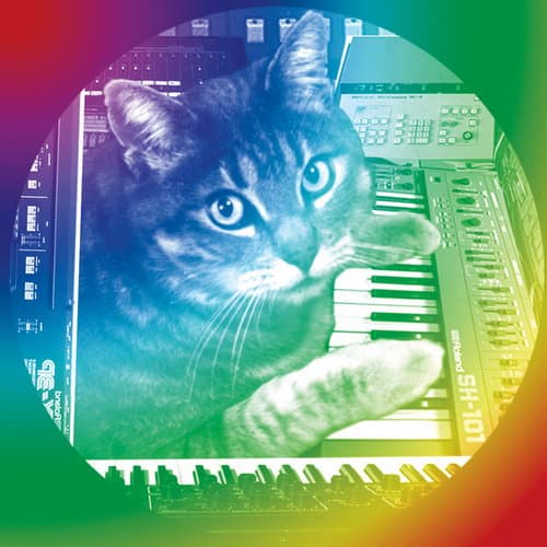Data Cat