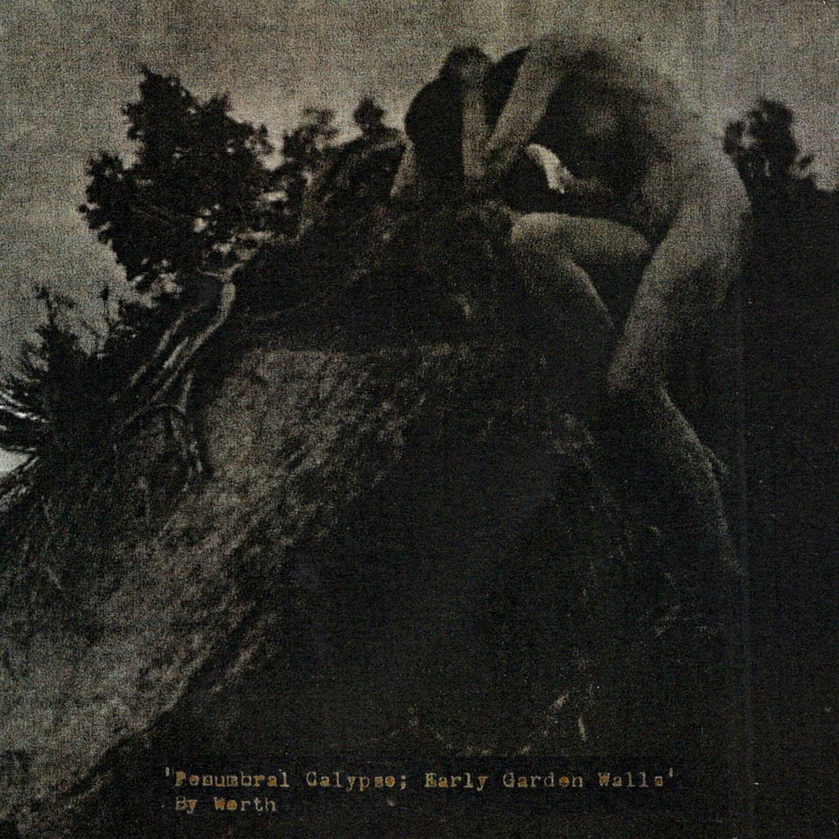 Penumbral Calypso; Early Garden Walls