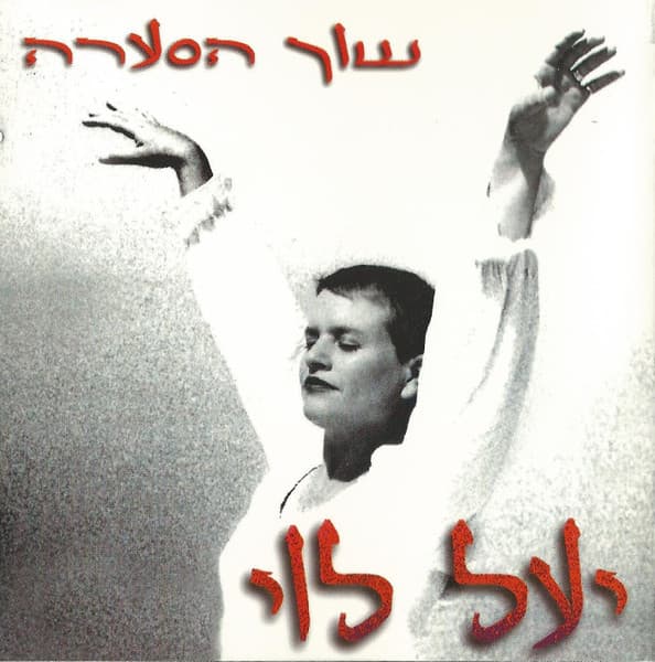 שוך הסערה