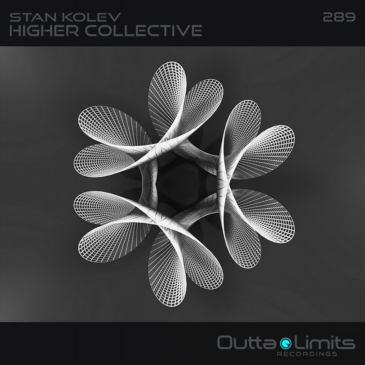 Higher Collective