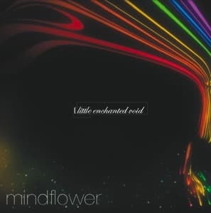 Little Enchanted Void