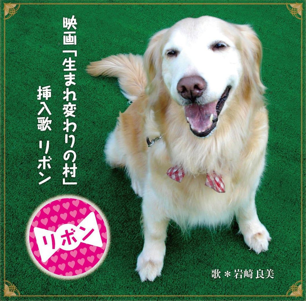 リボン