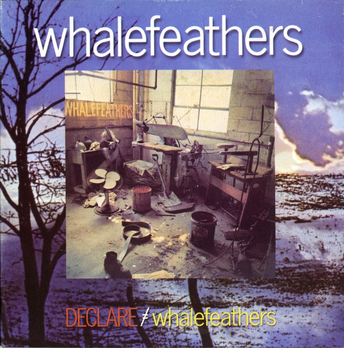 Declare / Whalefeathers