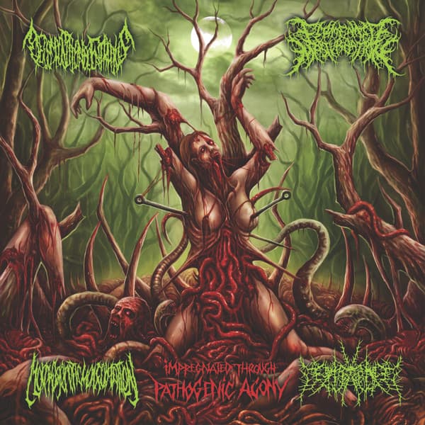 Impregnated Through Pathogenic Agony