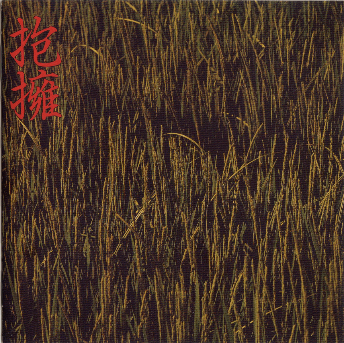 抱擁