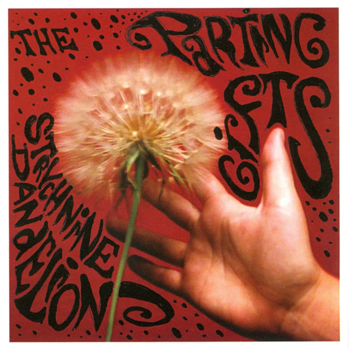 Strychnine Dandelion