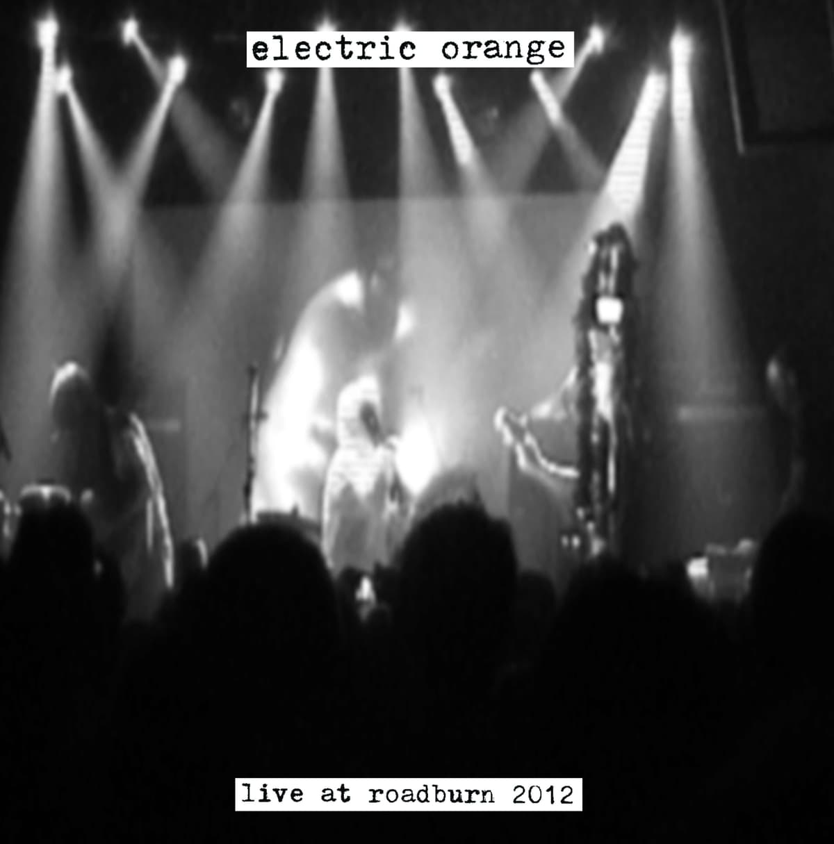 Live at Roadburn 2012