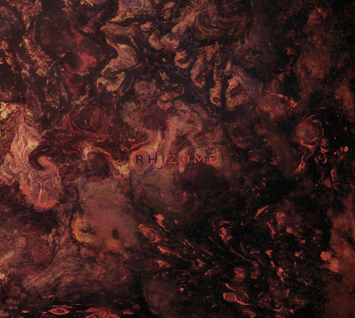 Rhizome