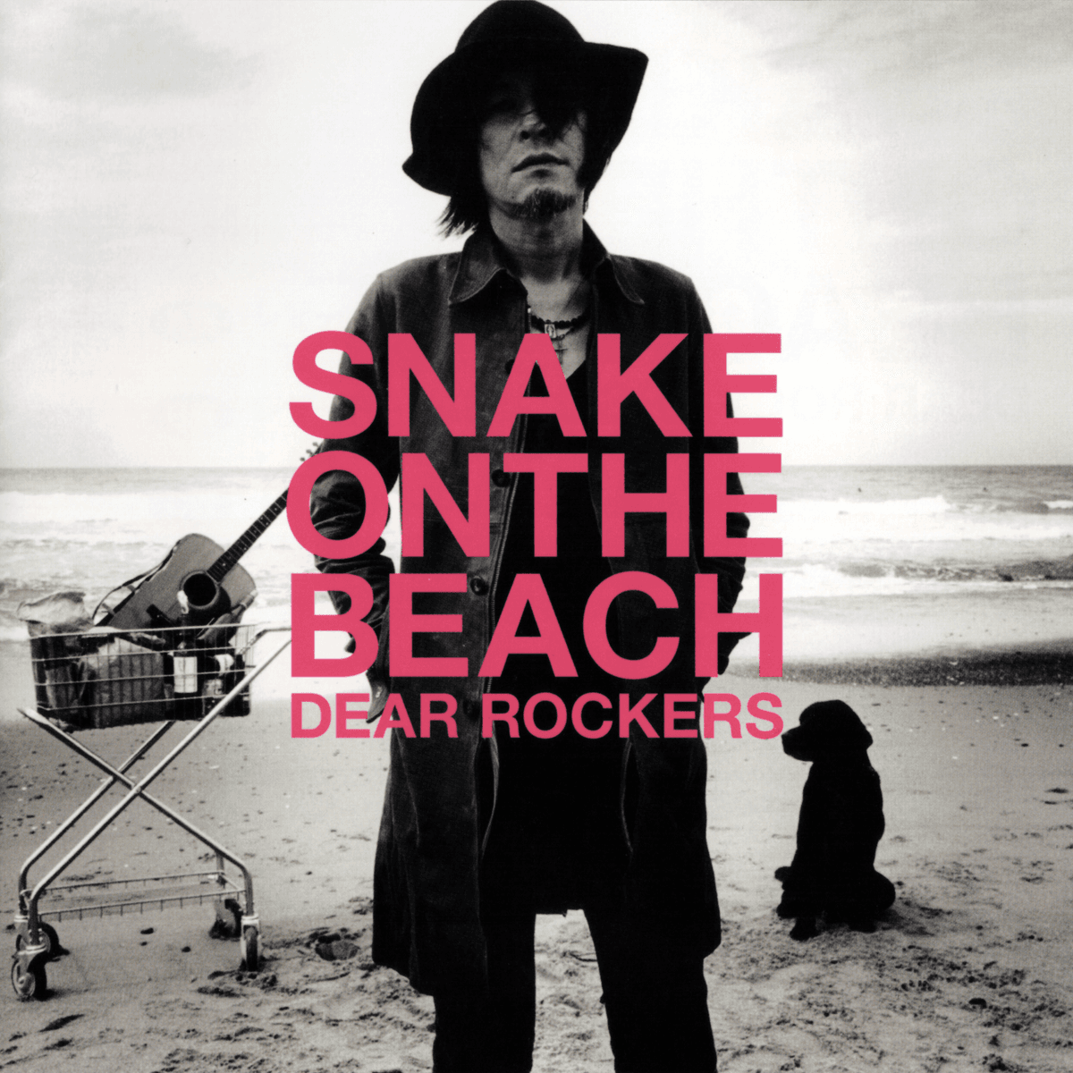 DEAR ROCKERS