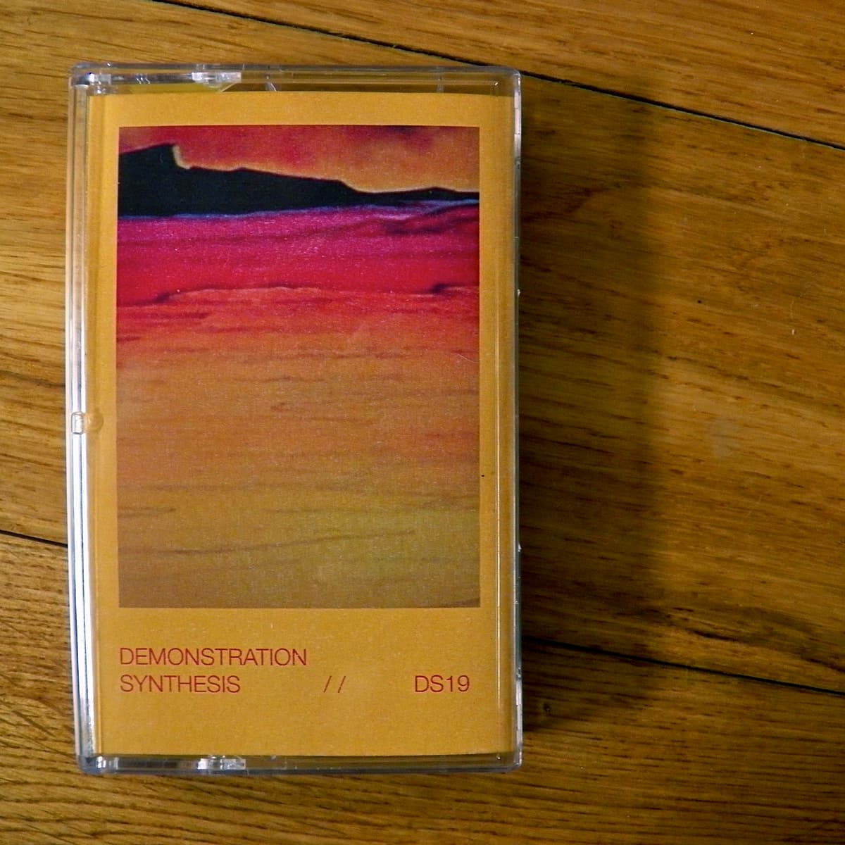 DS19