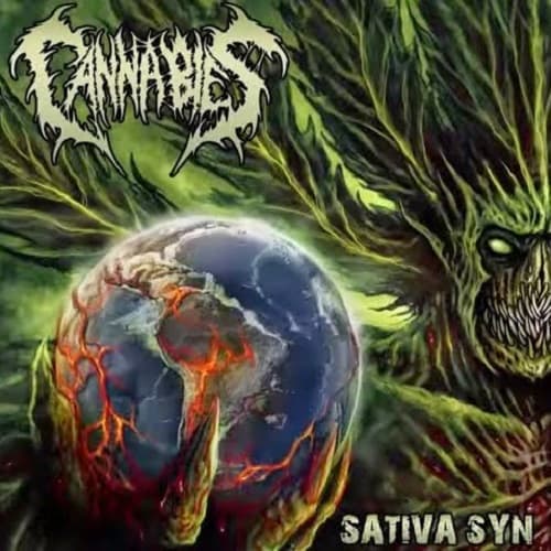 Sativa Syn