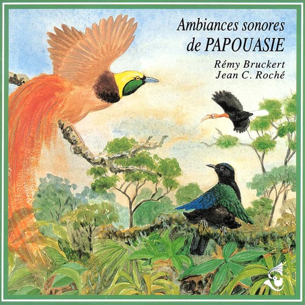 Ambiances de Papouasie / New Guinea Soundscapes