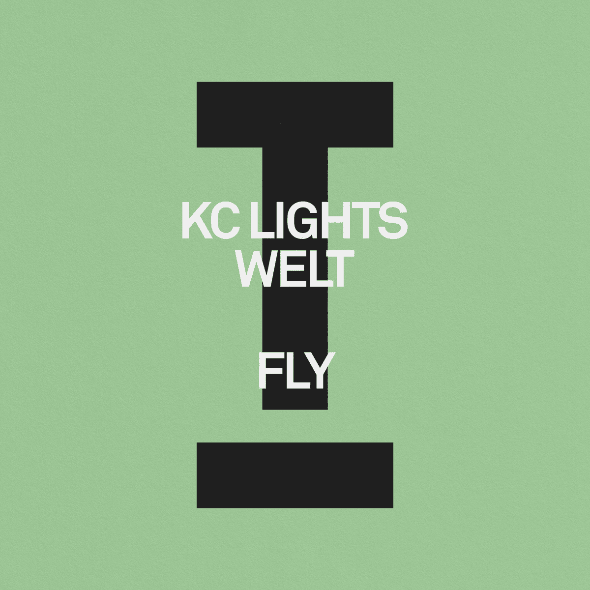 Fly