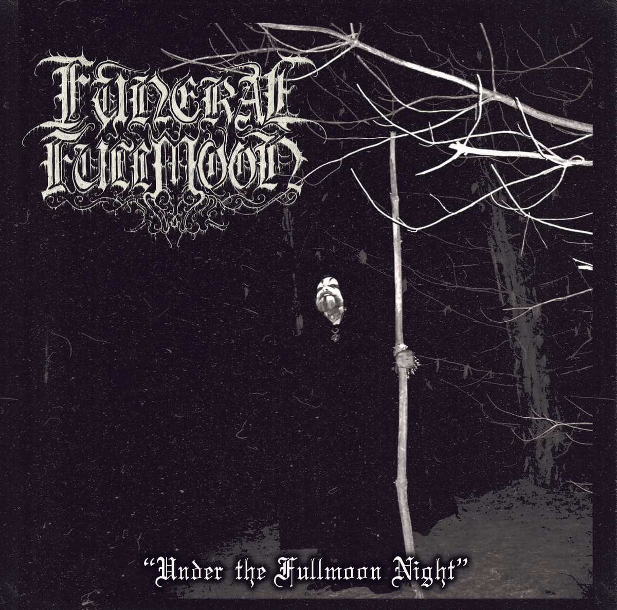 Under the Fullmoon Night