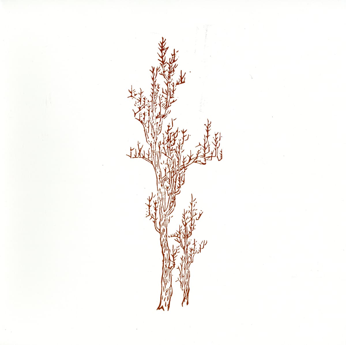 The Landscape of Memory