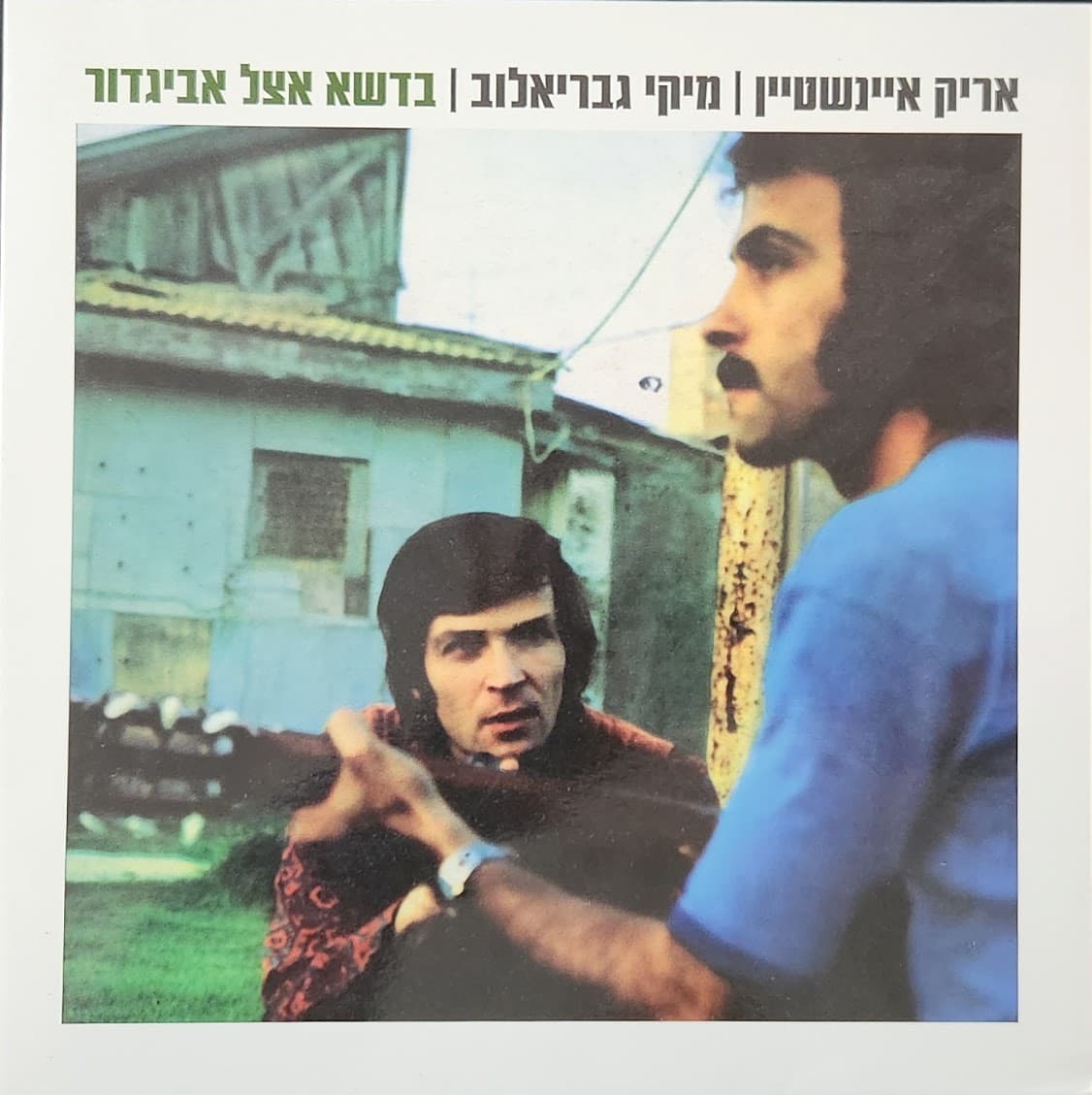 בדשא אצל אביגדור