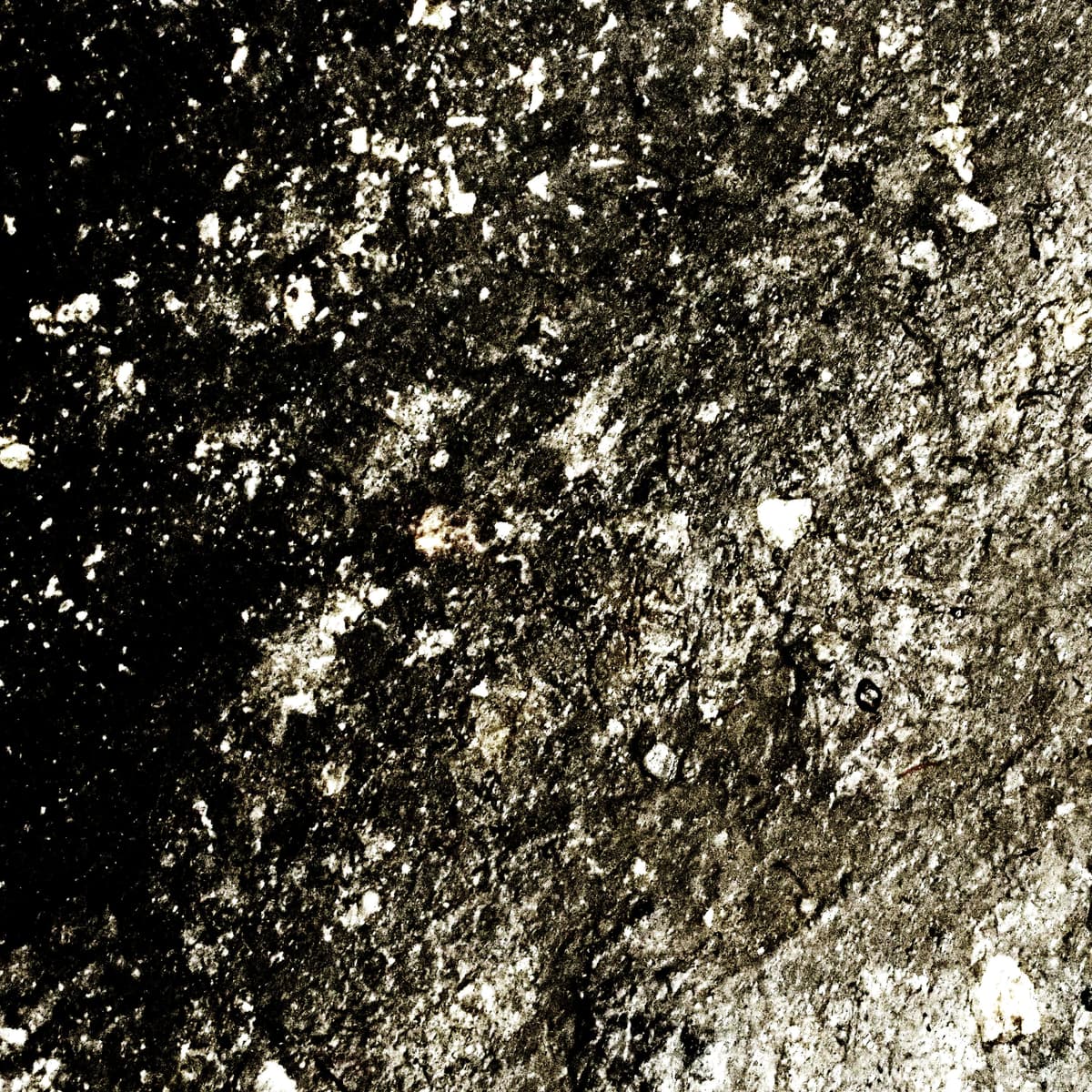 Imagined Textures of the Mud
