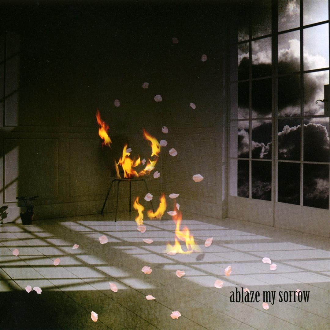 ablaze my sorrow