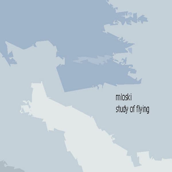 Study Of Flying