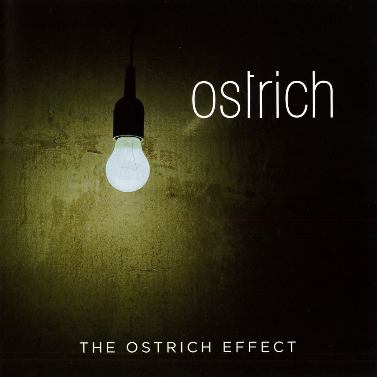 The Ostrich Effect
