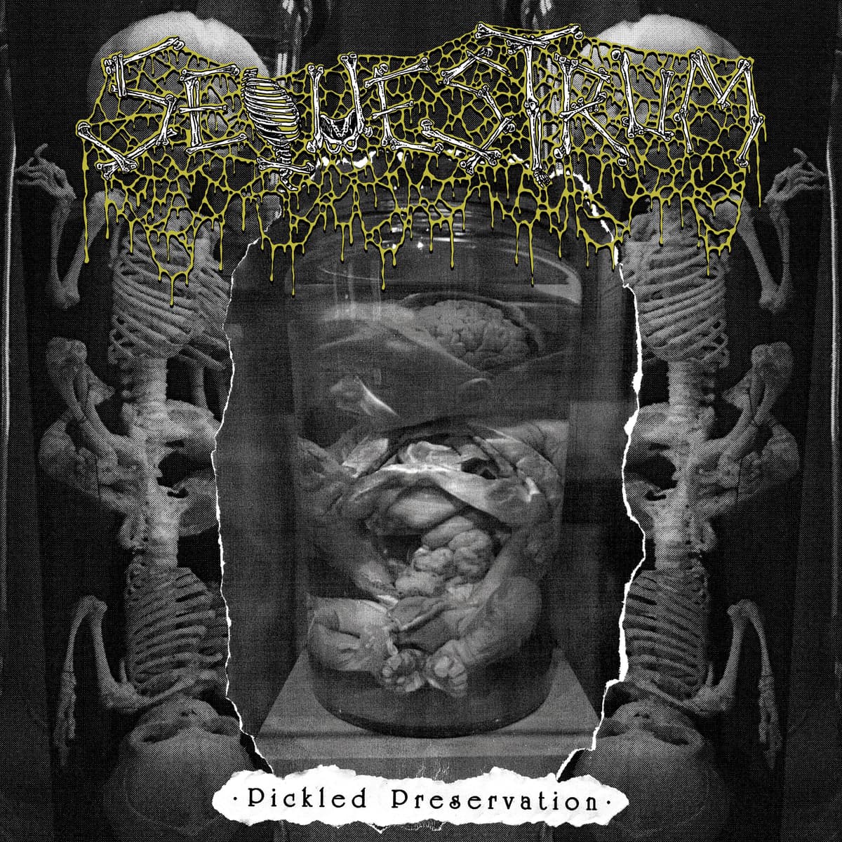 Pickled Preservation